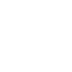 tripadvisorwhite-logo